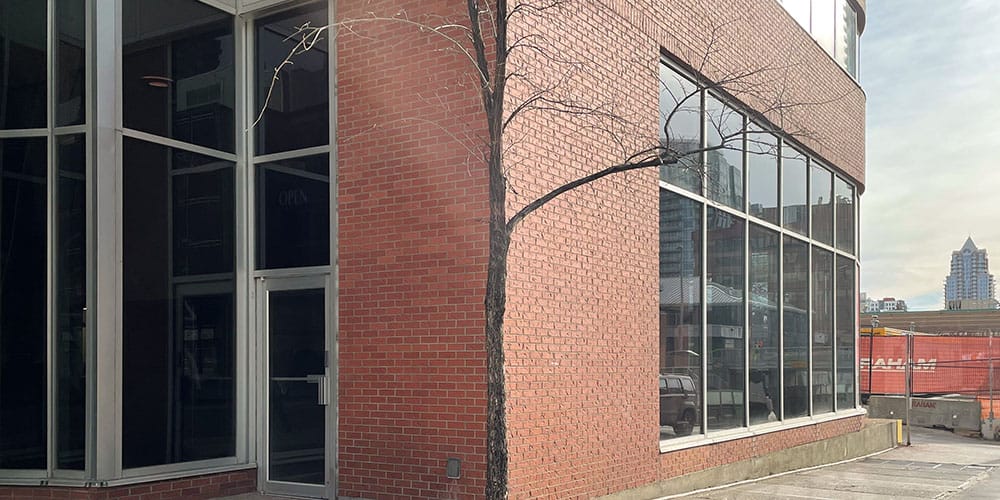 855 8th Ave SW 1000px x 500px